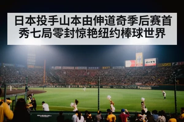 baseball stadium night game
